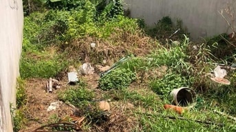Bán Đất Phường An Hòa - TP. Sa Đéc Bán Đất Phường An Hòa - TP. Sa Đéc