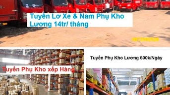Cần Gấp Lao động Phổ Thông Và Nam Lơ Xe tải Nhẹ Cần Gấp Lao động Phổ Thông Và Nam Lơ Xe tải Nhẹ