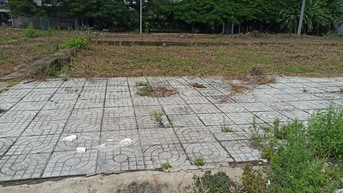 Đất nền giá rẻ đối diện chợ Bò Ót Đất nền giá rẻ đối diện chợ Bò Ót