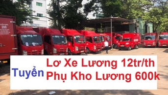 Tuyển vị trí lơ xe tài xế và phụ kho xếp hàng trong kho Tuyển vị trí lơ xe tài xế và phụ kho xếp hàng trong kho