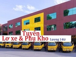 LÂM ĐỒNG ==> Tuyển Gấp Phụ Xe và Phụ Kho Bốc Xếp Hàng LÂM ĐỒNG ==> Tuyển Gấp Phụ Xe và Phụ Kho Bốc Xếp Hàng
