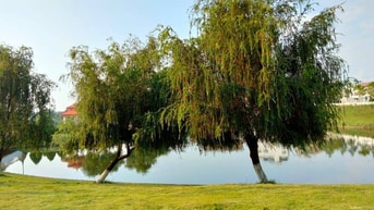 Đất đẹp ngay trung tâm tp bảo lộc Đất đẹp ngay trung tâm tp bảo lộc