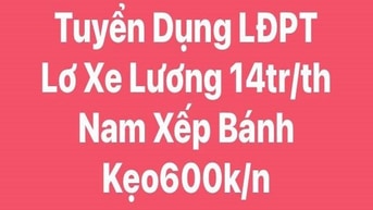 TUYỂN DỤNG // lái xe - phụ xe - phụ kho tại hệ thống siêu thị TUYỂN DỤNG // lái xe - phụ xe - phụ kho tại hệ thống siêu thị