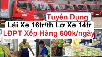 TIỀN GIANG : Tuyển 30 Nam LDPT theo Lơ xe & Phụ kho bao ăn ở TIỀN GIANG : Tuyển 30 Nam LDPT theo Lơ xe & Phụ kho bao ăn ở