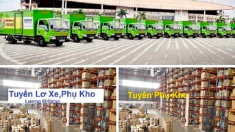 Tuyển 12 tài xế và 24 lơ xe làm tại Đồng Xoài lương cao Tuyển 12 tài xế và 24 lơ xe làm tại Đồng Xoài lương cao