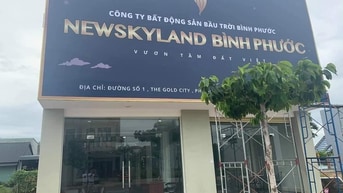 Nhân Viên Kinh Doanh làm việc tại Văn Phòng Nhân Viên Kinh Doanh làm việc tại Văn Phòng