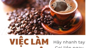 Việc làm parttime ~ fulltime cho sinh viên tại khu vực quận 4 Việc làm parttime ~ fulltime cho sinh viên tại khu vực quận 4