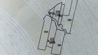 Bán đất trồng cây ăn trái 520m Bán đất trồng cây ăn trái 520m