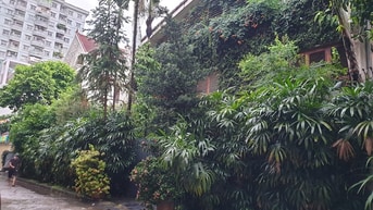Giảm giá Biệt Thự 360m2 Tăng Bạt Hổ, Hoàn Kiếm Giảm giá Biệt Thự 360m2 Tăng Bạt Hổ, Hoàn Kiếm