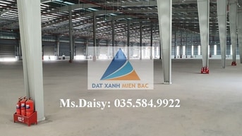 Cần cho thuê gấp kho xưởng đạt chuẩn khu vực Long Biên Cần cho thuê gấp kho xưởng đạt chuẩn khu vực Long Biên