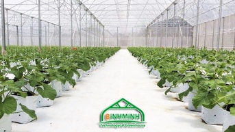Cung cấp bạt trải nền loại tốt,bạt trải nền cao cấp,bạt lót nền Cung cấp bạt trải nền loại tốt,bạt trải nền cao cấp,bạt lót nền