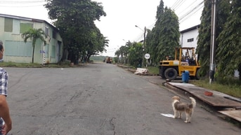 Cho thuê kho xưởng tại Bùi Văn Ba, P. Tân Thuận Đông, Quận 7 Cho thuê kho xưởng tại Bùi Văn Ba, P. Tân Thuận Đông, Quận 7