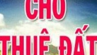 Cho thuê gấp đất Bình Hưng Hòa, Quận Bình Tân, hẻm 33 Cho thuê gấp đất Bình Hưng Hòa, Quận Bình Tân, hẻm 33