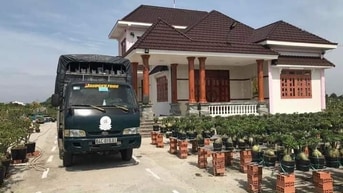 Đất có biệt vườn đẹp tuyệt đẹp Đất có biệt vườn đẹp tuyệt đẹp