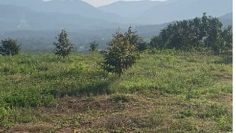 Đất view săn mây Lâm Đồng giá đầu tư Đất view săn mây Lâm Đồng giá đầu tư