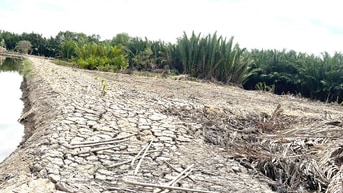 Cần bán 100m2 đất cây lâu năm đường Liên ấp 2-3, Nhà Bè giá 400 triệu