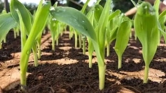 Phước Lý 3 Mặt Tiền Lô Ngang 6m5 