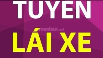 Long An : Tuyển Gấp 15 Lơ Xe + 20 Phụ Kho VÀ 15 Lái xe bao ăn ở