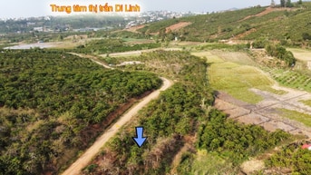 Bán lô đất thị trấn Di Linh giáp ruộng, giá rẻ phù hợp nghỉ dưỡng