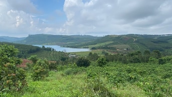 Cần bán LÔ ĐẤT VƯỜN BƠ VIEW HỒ DAKNONG