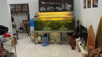 Chính chủ bán nhà Tân Phú , TPhcm 