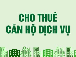 Cho thuê căn hộ đường Trường Chinh, Phường 14, Tân Bình, 40m2