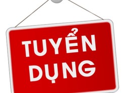 Công ty Mộc Hoàng Gia tuyển gấp kế toán bán hàng tại Củ Chi, TP HCM