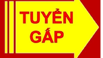 Cần tuyển chọn 2 lái xe xe tải lớn nhỏ, thao tác bên trên Phong Phú, Bình Chánh
