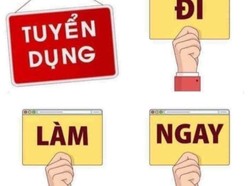 Cần bổ sung LĐPT không cần kinh nghiệm bằng cấp thời vụ chính thức lda