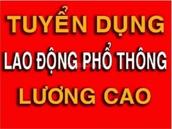 Tuyển Lao Động Phổ Thông Không Cần Bằng Cấp