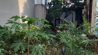 ĐẤT THỔ CƯ GIÁ RẺ NHẤT ĐÔNG NGẠC KẺ VẼ 60M2 GIÁ 3,6 TỶ 