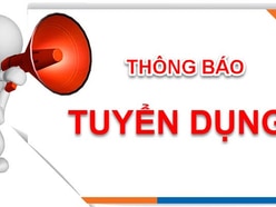 Tuyển Nam Nữ Phụ Kho Đi Làm Ngay Không Cần Kinh Nghiệm 