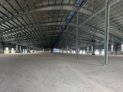 Cho thuê kho xưởng Cụm CN Cần Đước,Long An tdt: 76.800m2, X: 38.400m2