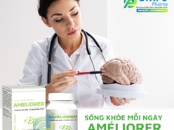 Tìm đốc tác phân phối Viên uống  Améliorer Ginkgo Biloba nhập khẩu 