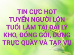 TIN CỰC HOT TUYỂN NGƯỜI LỚN TUỔI LÀM TẠI ĐAI LÝ KHO, ĐÓNG GÓI, ĐỨNG TR