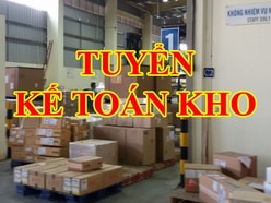 Tuyển Nhân viên Kế toán Kho, Nhập liệu