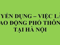 Tuyển 10 NAM LĐPT làm tại cty Sơn Quang Dũng, Sóc Sơn Hà Nội