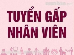 Cần Tuyển Gấp Nhân Viên Kho vận, có bằng lái xe B2