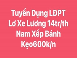 Tuyển Dụng Lơ Xe, LĐPT Xếp Bánh Kẹo Tại Kho Lương 600k/ Ngày Bao Ăn Ở