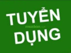 THUYỂN GẤP NHÂN VIÊN NAM NỮ LÁM VIỆC TẠI KHO HÀNG.