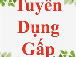 Tuyển gấp 4 nam nữ sắp xếp hàng hóa 