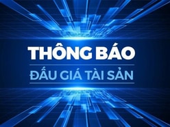 Cty CP Bảo vệ Thực Vật Sài Gòn THÔNG BÁO BÁN ĐẤU GIÁ THANH LÝ T.SẢN