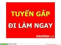 TUYỂN PHỤ BỐC HÀNG THEO ÔTÔ GIAO HÀNG TRÊN ĐỊA BÀN HÀ NỘI