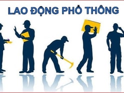 Cần tuyển 3 Nam lao động phổ thông phụ bán hàng tại 175/8 Tạ Uyên, Q11