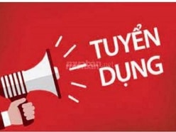 Tuyển lái xe B2 chạy tháng cố định đưa đón nhân viên làm tại Hà Nội