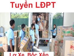 Việc Tài Xế Lái Xe Lơ Xe LĐPT Bốc Xếp Bánh Kẹo Lương Cao 16 Triệu 