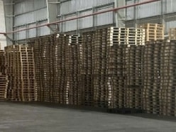 Tìm Đối Tác Sang Nhượng Lô Pallet Sắt- Pallet Gỗ + Ván Ép