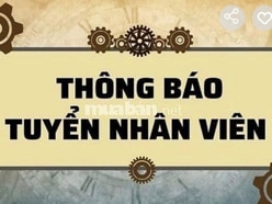 Tuyển nhân viên văn phòng làm việc tại TPHCM không cần kinh nghiệm 