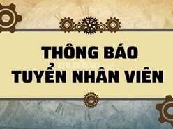 Cần tuyển nam/ nữ làm phụ kho, bán hàng tại kho và cửa hàng