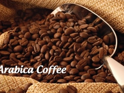 Cà phê Arabica rang xay tại chỗ